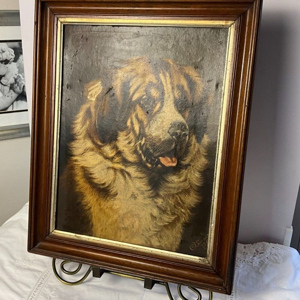 Vintage Saint Bernard Dog Portrait Framed Textured Print Oil Style Sporting Art - Picture 2 of 8